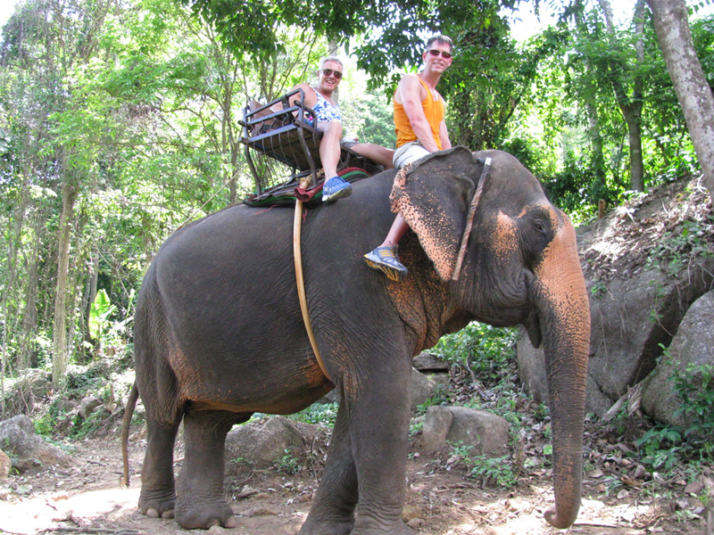 elephant trekking